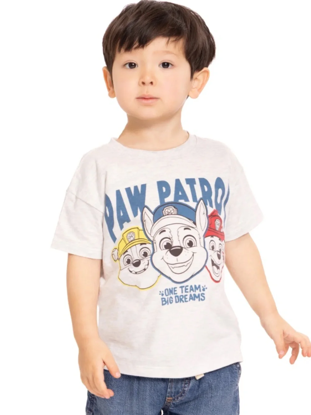 Paw Patrol Unisex Platinum Heather Tee Shirt Size 5T NWT